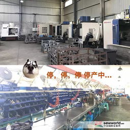 環保風暴下小工廠的生存困境 價格優勢不再，轉型之路何在？