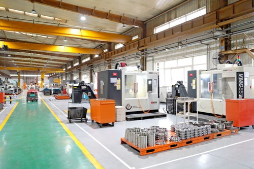 小模型 的大轉(zhuǎn)型